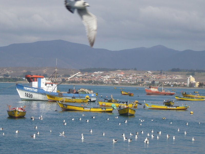 La Serena